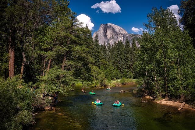 4 fating groups paddling through the yosemite river surrounded by the forrest and rocky mountain on the horizon